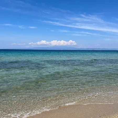 Pelagio